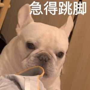 Ergddh435535